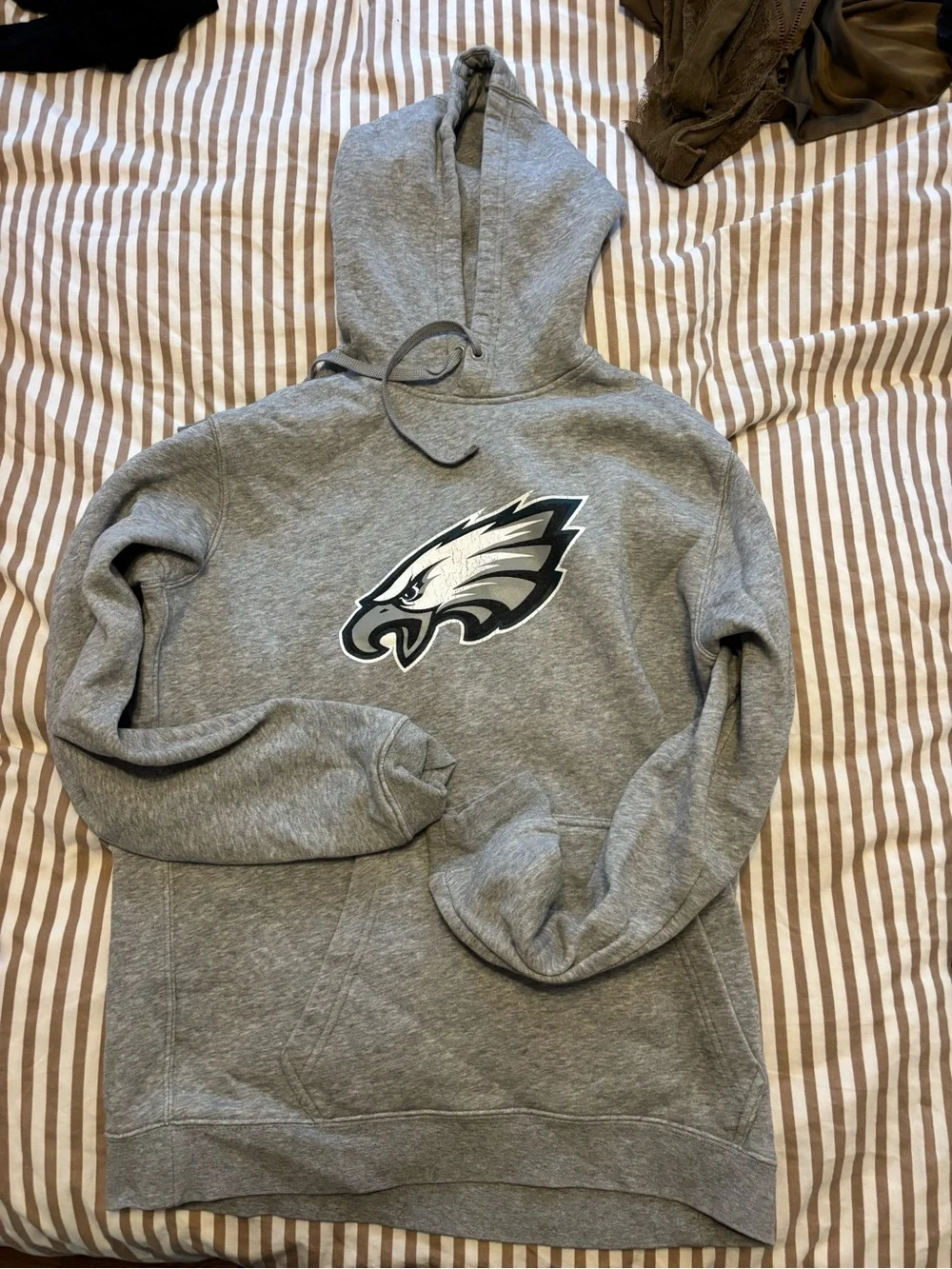 Philadelphia Eagles Gray Pullover Hoodie Nike Sweatshirt